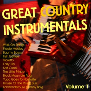 Great Country Instrumentals Vol. 1
